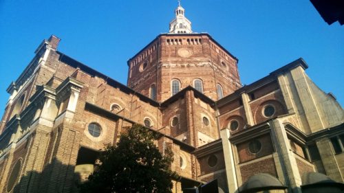 Duomo di Pavia_Tulipando