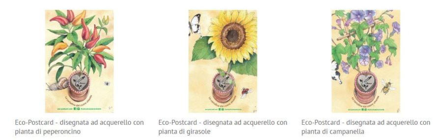 eco postcard